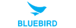 BLUEBIRD